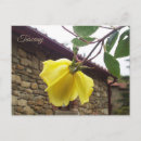 Search for wet postcards Yellow
