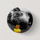 Search for dog photo badges Photography
