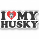 Search for white siberian husky Alaskan malamute