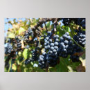 Search for multi region art Purple