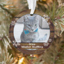 Search for cute cat christmas tree decorations Memorial