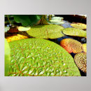 Search for padding posters Green