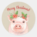 Search for mini pig stickers Modern