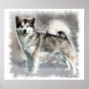 Search for malamute art Pets