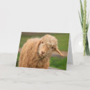 Search for funny goat birthday cards Kid