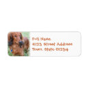 Search for dachshund return address labels Daschund