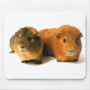 Search for guinea pig mousepads Cute