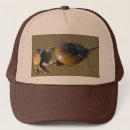 Search for crab hats Funny