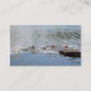 Search for pond photography Meditation