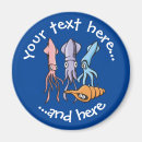 Search for sea shell magnets Illustration
