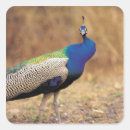 Search for three people stickers Vertical