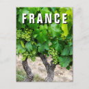 Search for danita delimont postcards Field