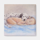 Search for babes magnets Dog