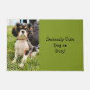 Search for spaniel doormats Photography