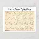 Search for vintage bird drawing postcards Illustration