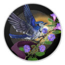 Search for bluejay Flowers