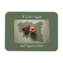 Search for teacher appreciation magnets Gratitude