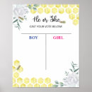 Search for cast your vote Reveal