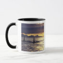 Search for mammal mugs Swim