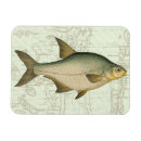 Search for fish magnets Lake