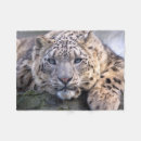 Search for snow leopard blankets White