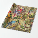 Search for classic gift wrap Illustration