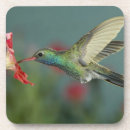 Search for hummingbird barware Nectar