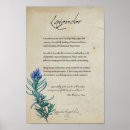 Search for herb posters Apothecary