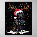 Search for santa reindeer posters Lights