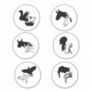 Search for shadow puppet Hand puppets