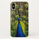 Search for birds eye iphone cases Peacock