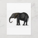 Search for anmal Animals