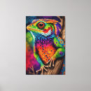 Search for rainbow lizard Colourful