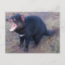 Search for tasmanian devil postcards Marsupial