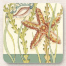 Search for sea shell coasters Chariklia zarris