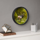 Search for elk clocks Alaska