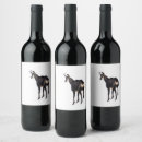 Search for alpine labels Snow