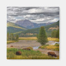 Search for bison magnets Grazing