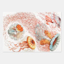 Search for life forms Ernst haeckel