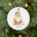 Search for orange cat christmas tree decorations Watercolor