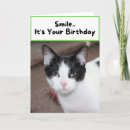Search for pussy cards Cat