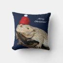 Search for lizard cushions Nature