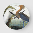 Search for john wilde art John james audubon