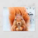 Search for nuts postcards Animals