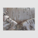 Search for birch bark tissue paper Rustic
