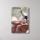 Search for longevity art Cranes