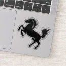 Search for black stallion Pony