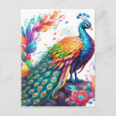 Search for peacock feathers postcards Birds