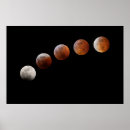 Search for lunar phases posters Sky
