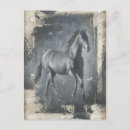 Search for horse sports postcards Equestrian